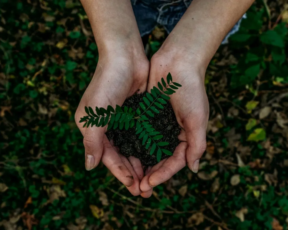 Nachhaltigkeit will gelernt sein