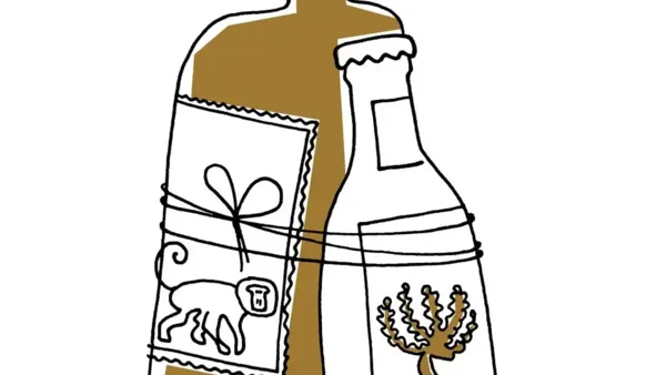 Liquid Gin Tastings – Sommerparty