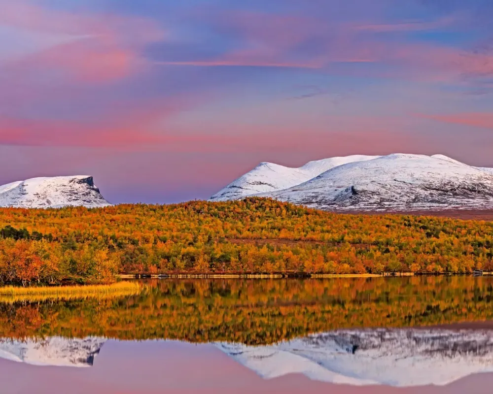Zwischen Polarlichtern und Papageientauchern