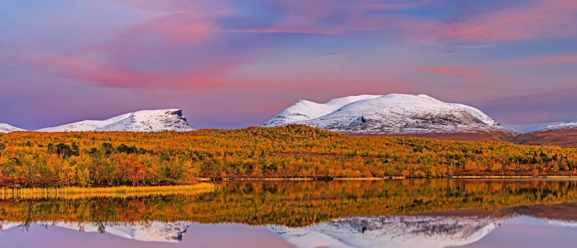 Zwischen Polarlichtern und Papageientauchern