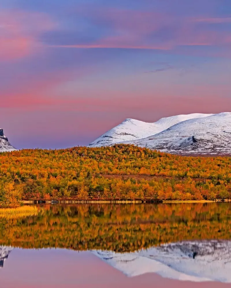 Zwischen Polarlichtern und Papageientauchern