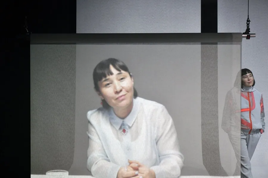 Neutralisiert - Wie verstehen Sie die Dolmetscherin?