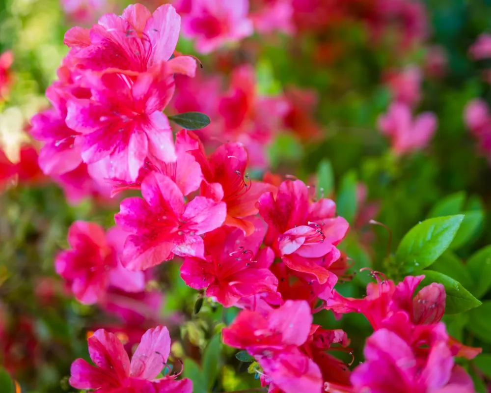 Vom Glück schmutziger Fingernägel