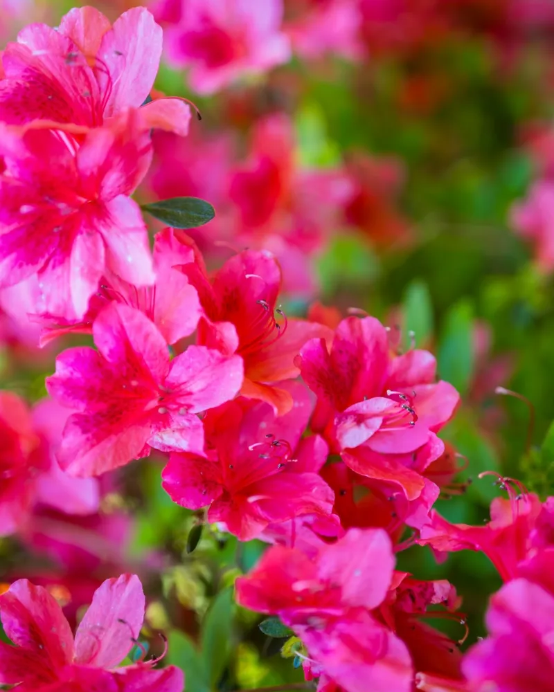 Vom Glück schmutziger Fingernägel