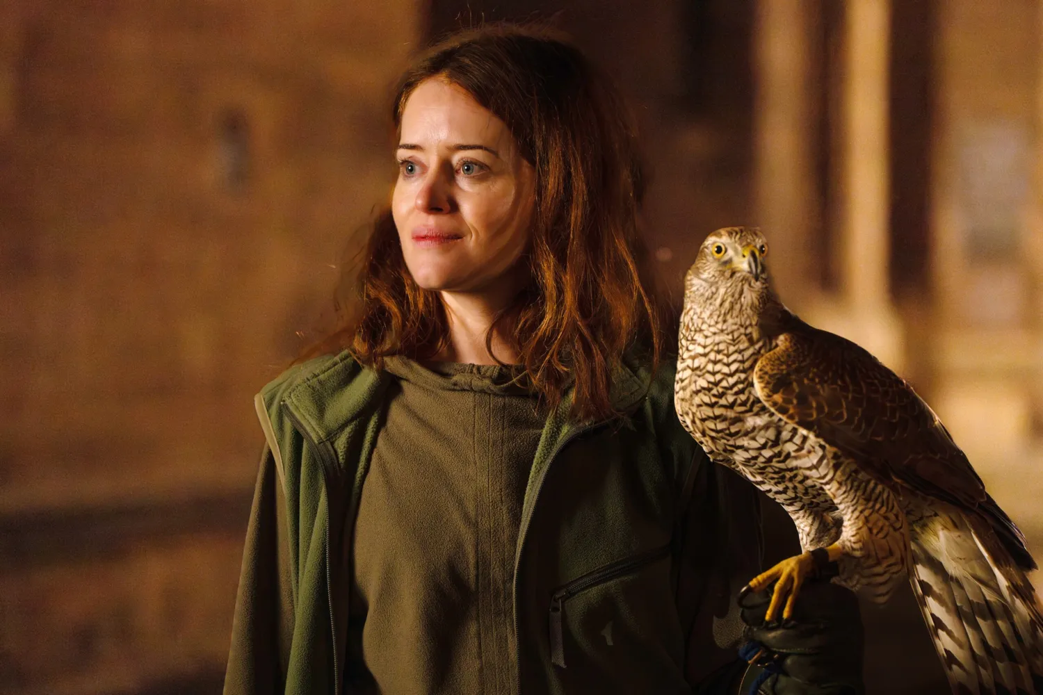 H Is for Hawk