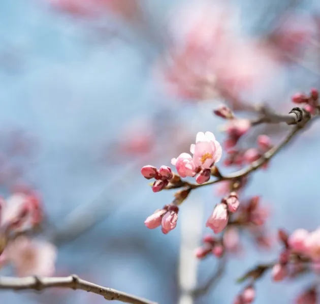 Nature Writing mit (freiwilliger) Lesung