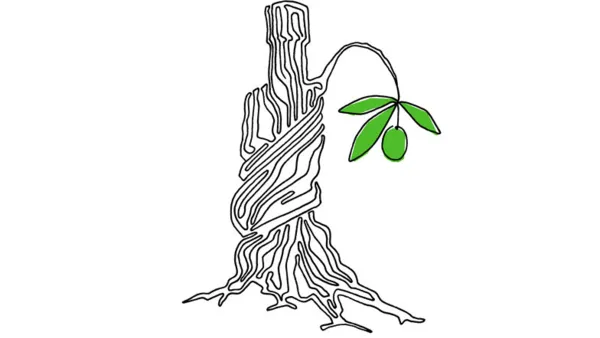 Liquid Masterclass Olivenöl Esporão