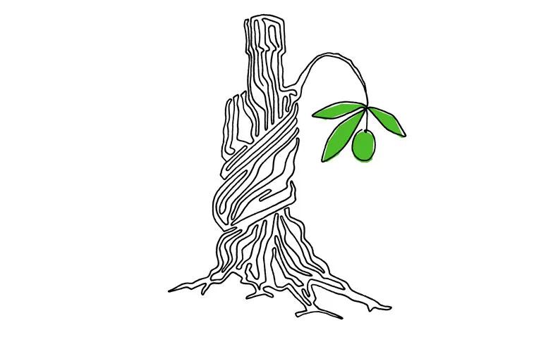 Liquid Masterclass Olivenöl Esporão