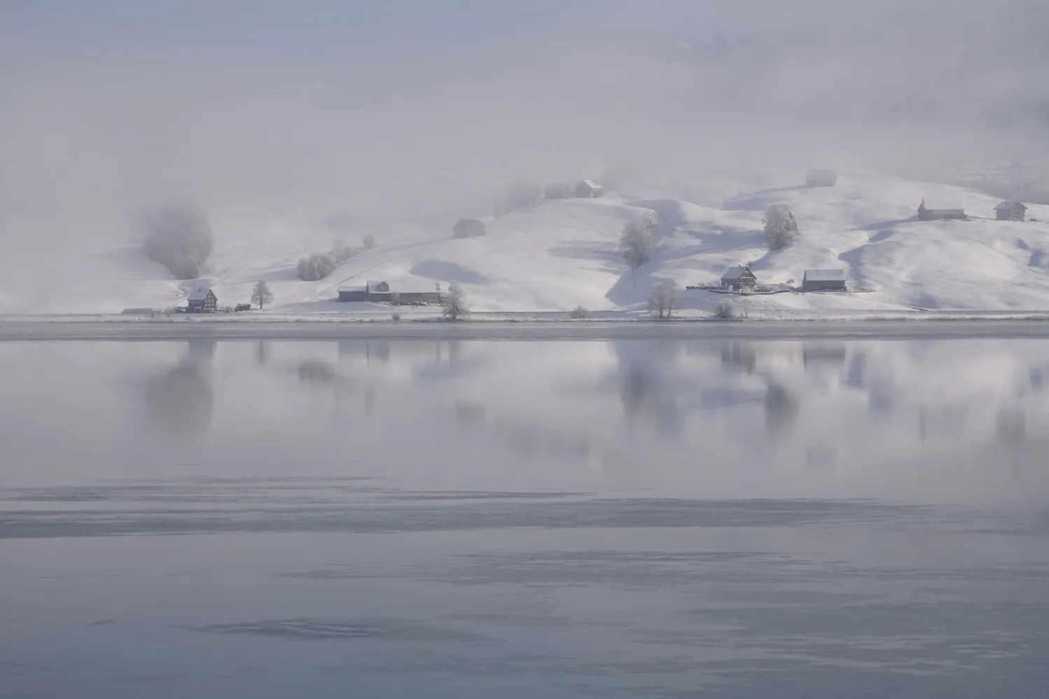 "Wintertraum", Schnappschuss 2025, Kategorie Pflanzen, Landschaften und andere Naturphänomene, Top 10