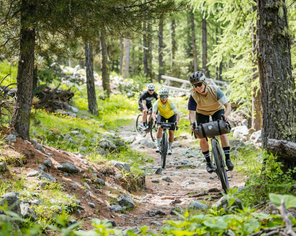 Damit dein Velo in Fahrt bleibt