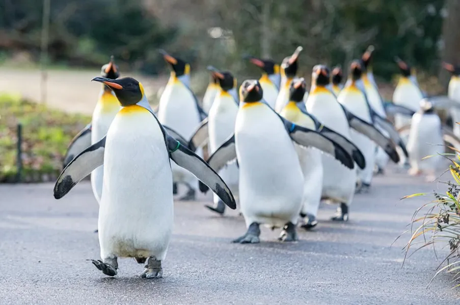 Tag der offenen Tür im Zoo