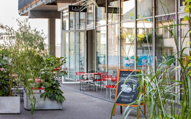 Der Mikrokosmos Lysbüchel wächst