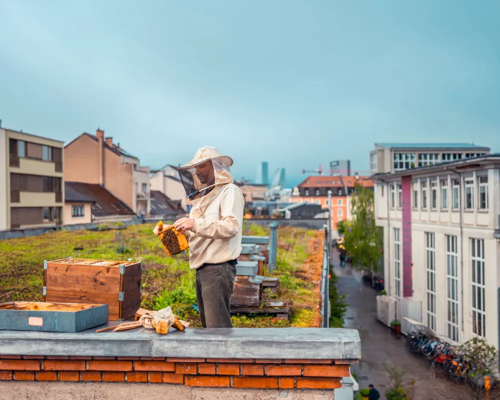 Gundeldingen: Andreas Seiler