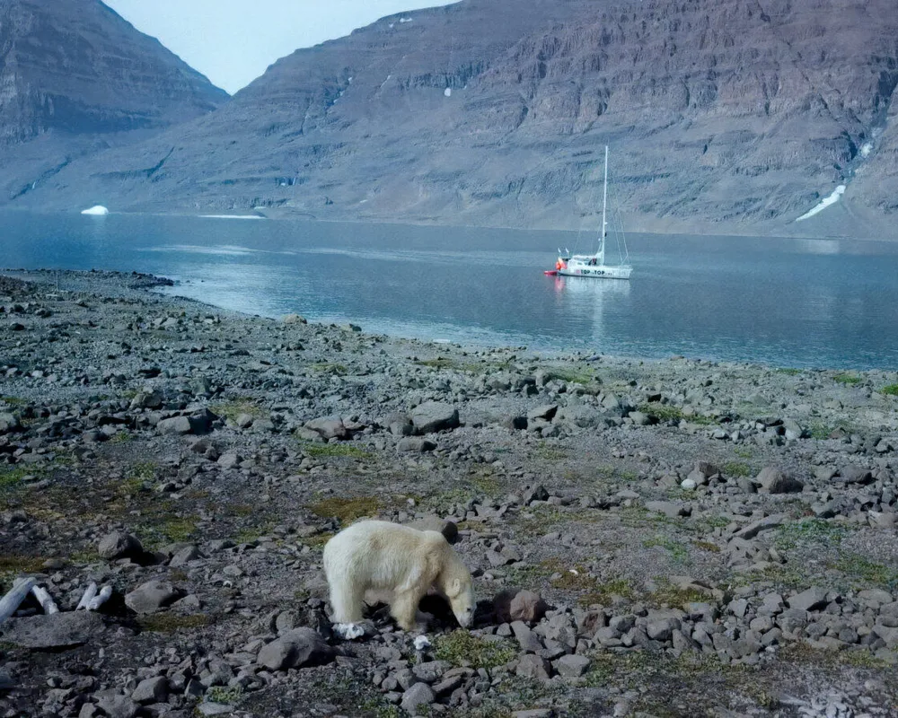 Ein wässriger Kinoabend