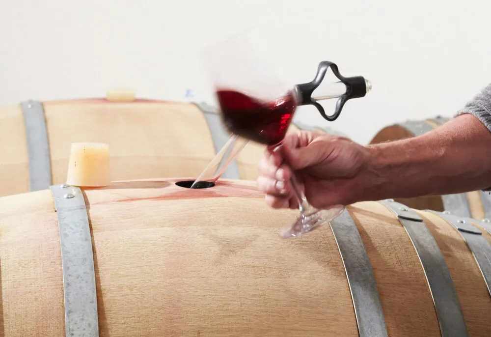 White Table Dinner in Weinkellerei