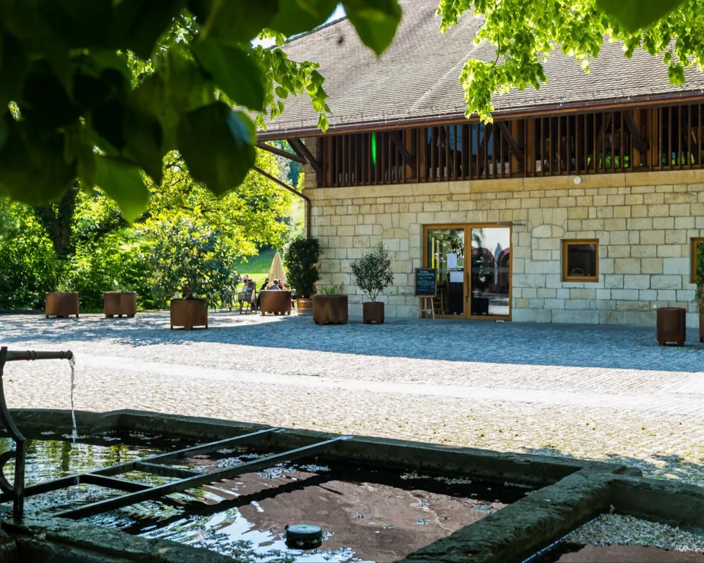 Oh du schöner Sonntag!