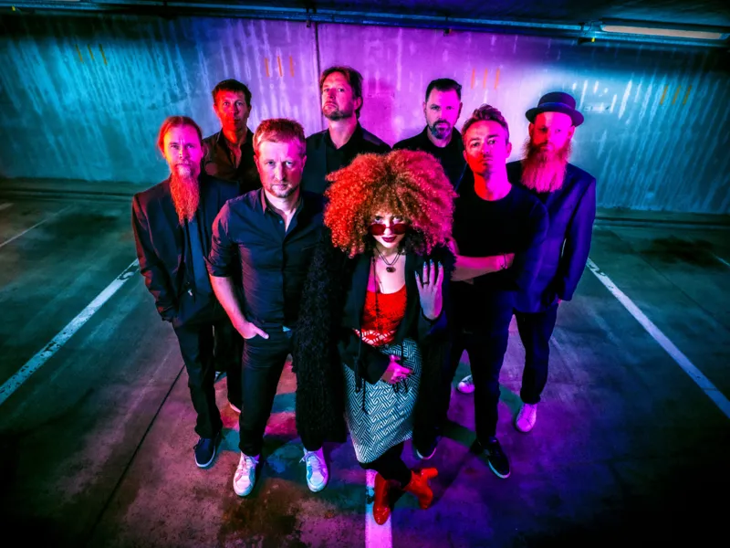 Floss Festival – Custard Pie
