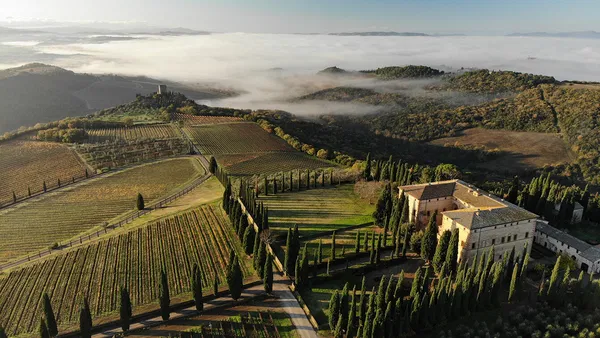Weindegustation: Argiano - Brunello & Supertoskaner