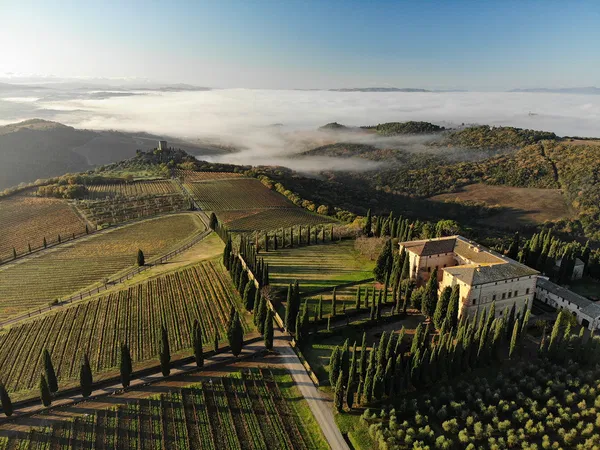 Weindegustation: Argiano - Brunello & Supertoskaner