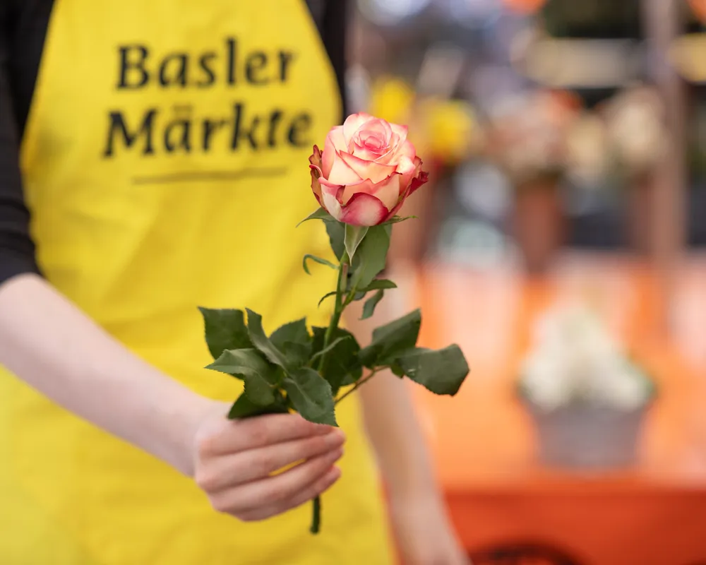Der Basler Stadtmarkt blüht auf!