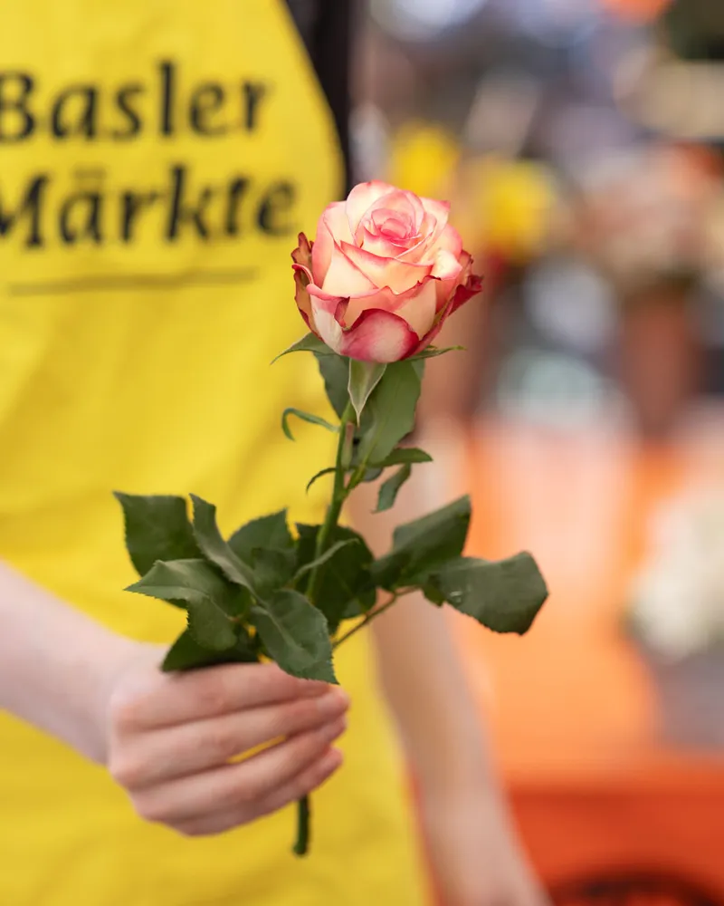 Der Basler Stadtmarkt blüht auf!