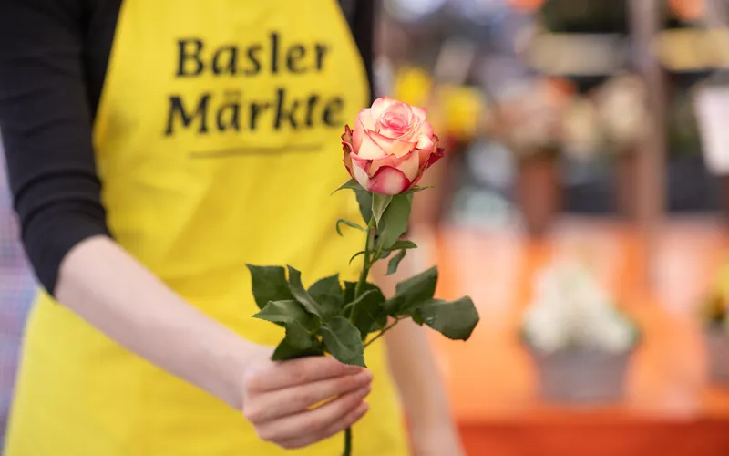 Der Basler Stadtmarkt blüht auf!