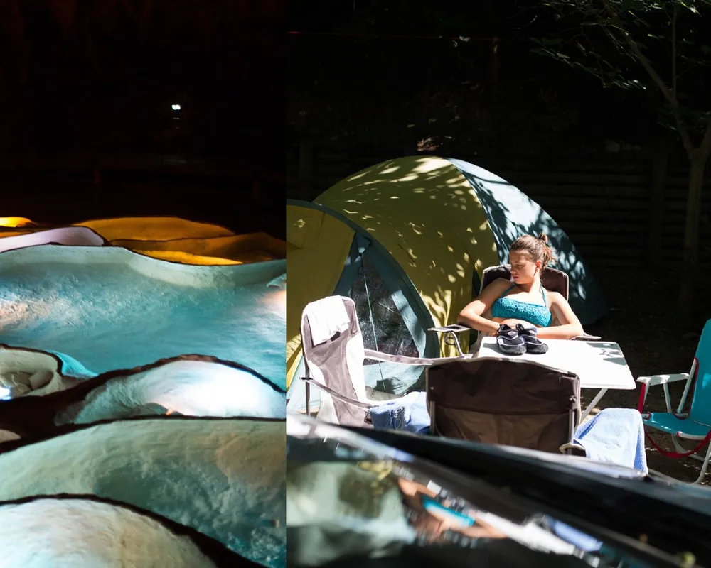 Kraftvolle Porträts einer Metamorphose