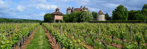 Weindegustation: Château Lagrézette