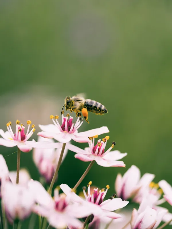 Nature Writing im Schwarzpark
