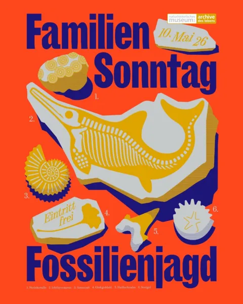 Familiensonntag: Fossilienjagd