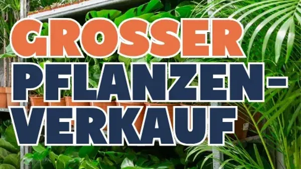 Pflanzen für alle
