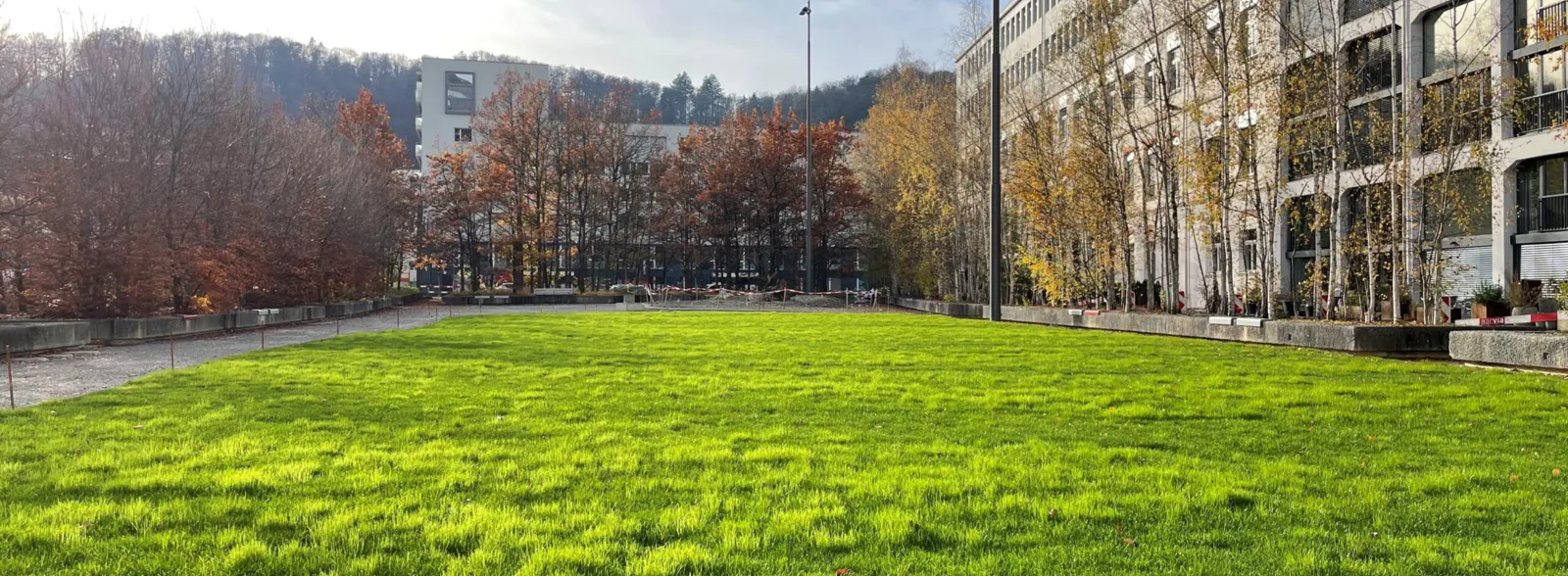 Trafowiese