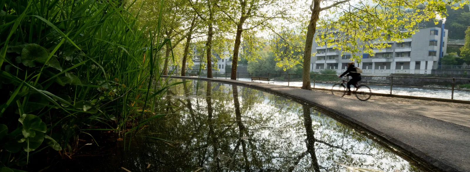 Velofahren an der Limmatpromenade