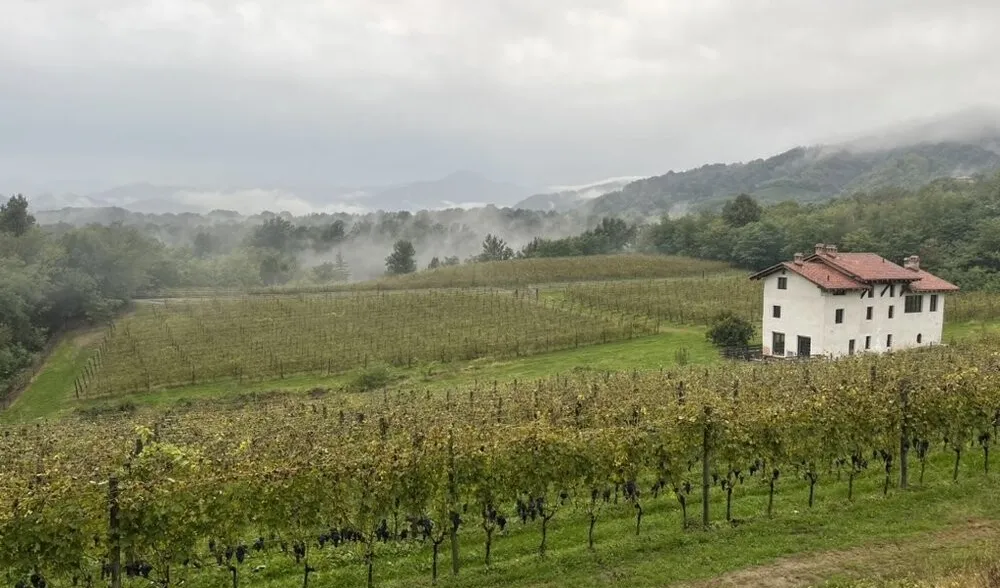 Einführung ins Andere Piemont
