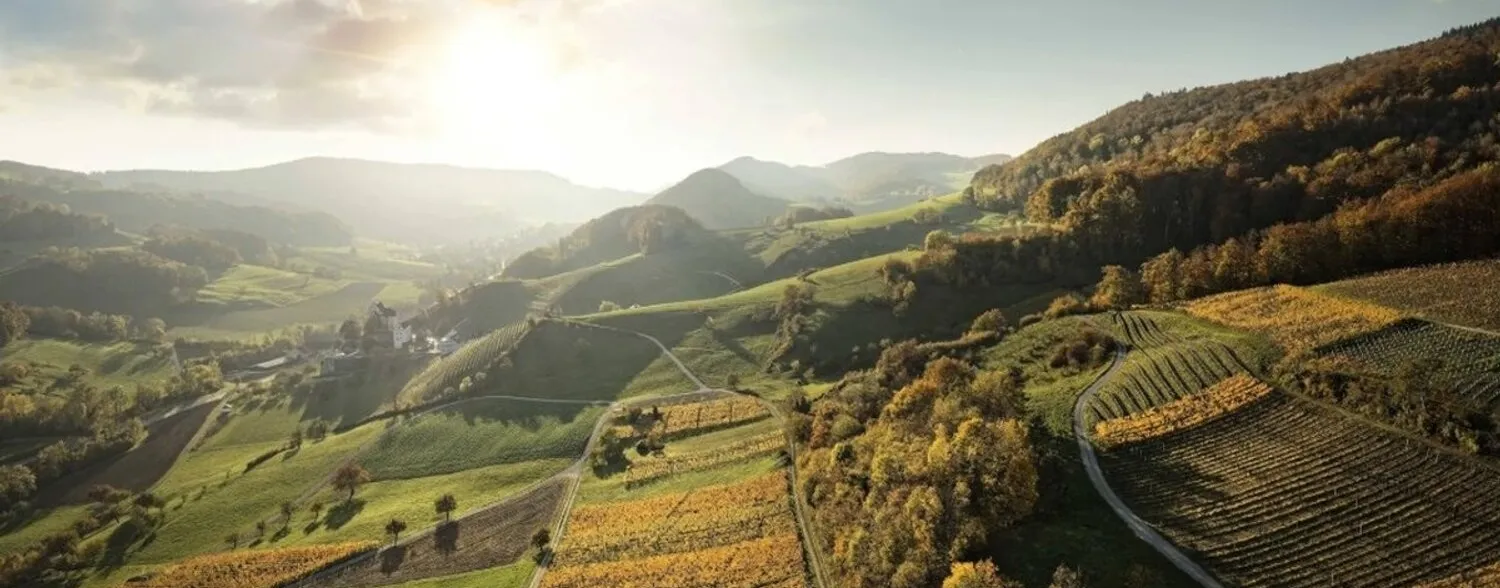 Degustation «Aargauer Weinmomente»