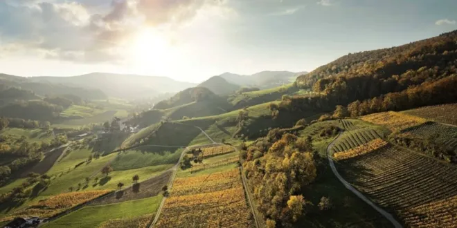 Tasting "Aargau wine moments"