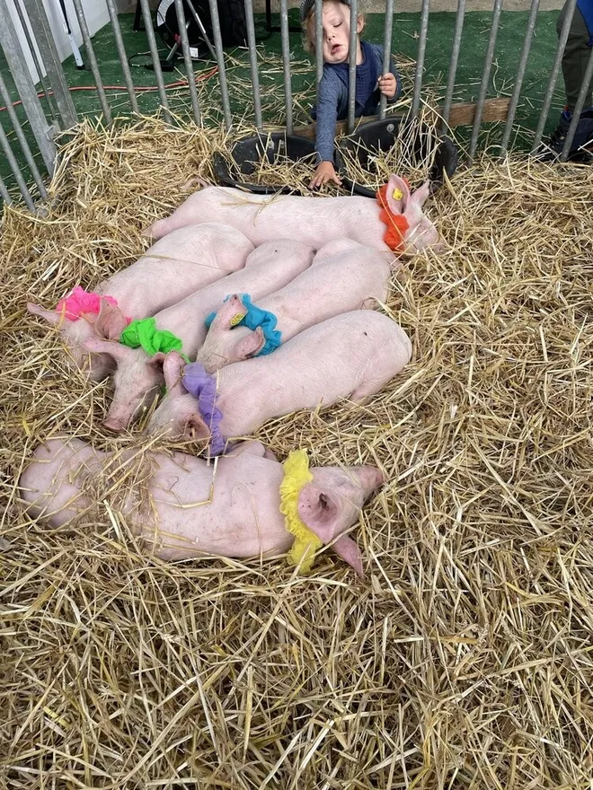 Baden wird zum Bauernhof