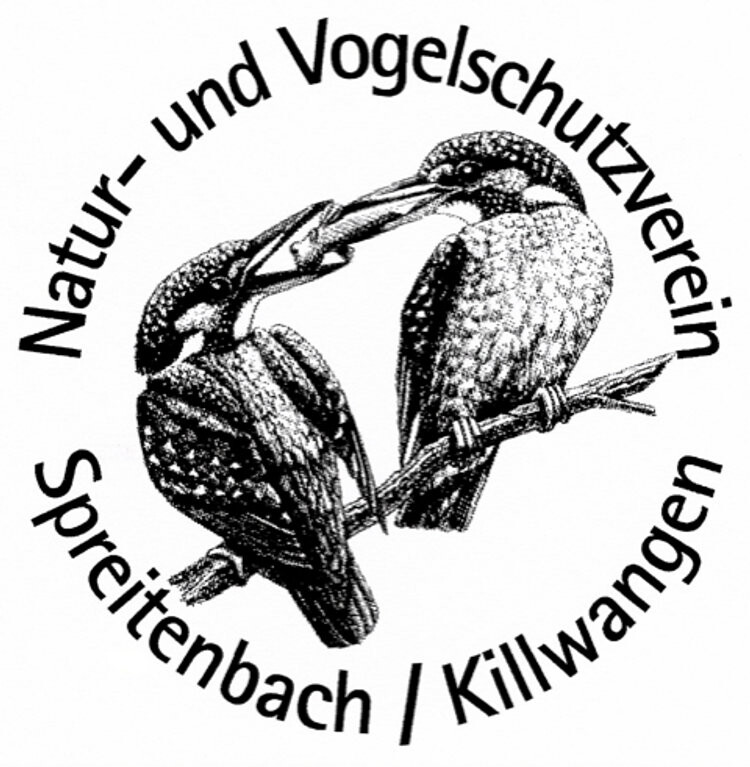 Naturspaziergang