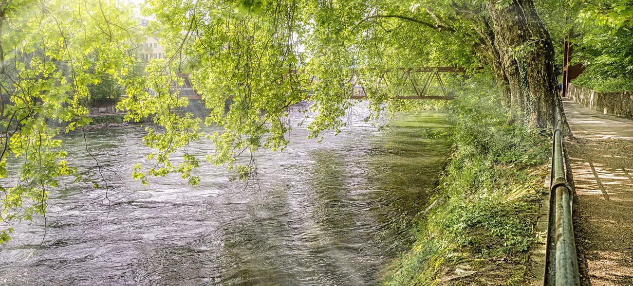 Limmat-Steg