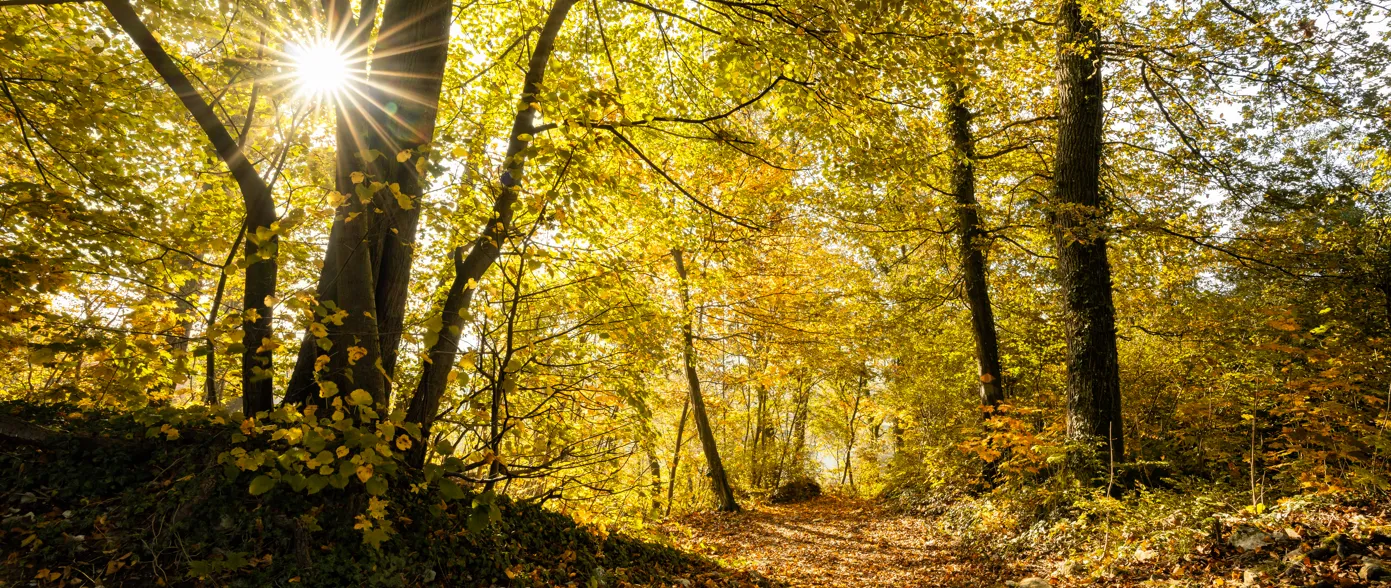 Audioguide Natur