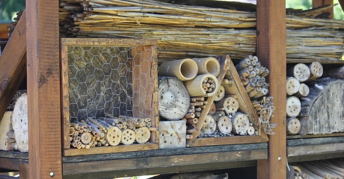 Nistgelegenheiten-Workshop