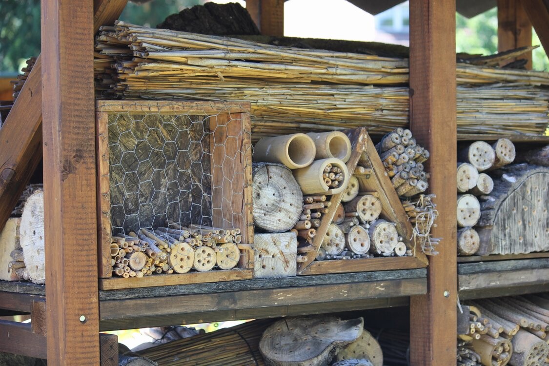 Nistgelegenheiten-Workshop