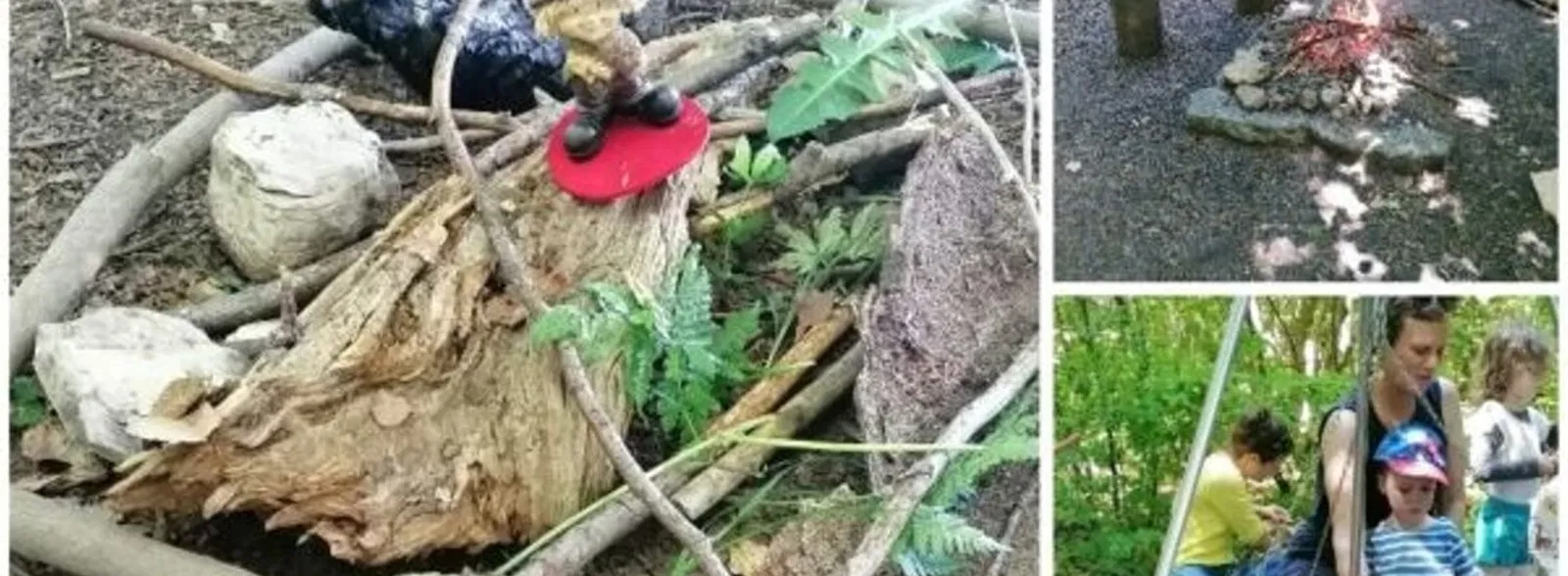 Wald-Nachmittag