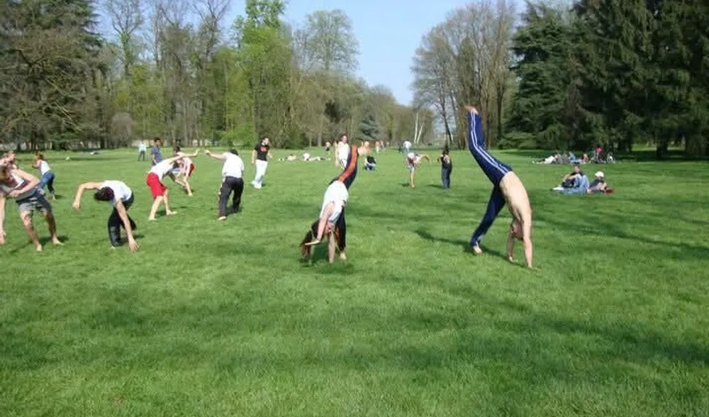 ACTIVE CITY BADEN Capoeira course