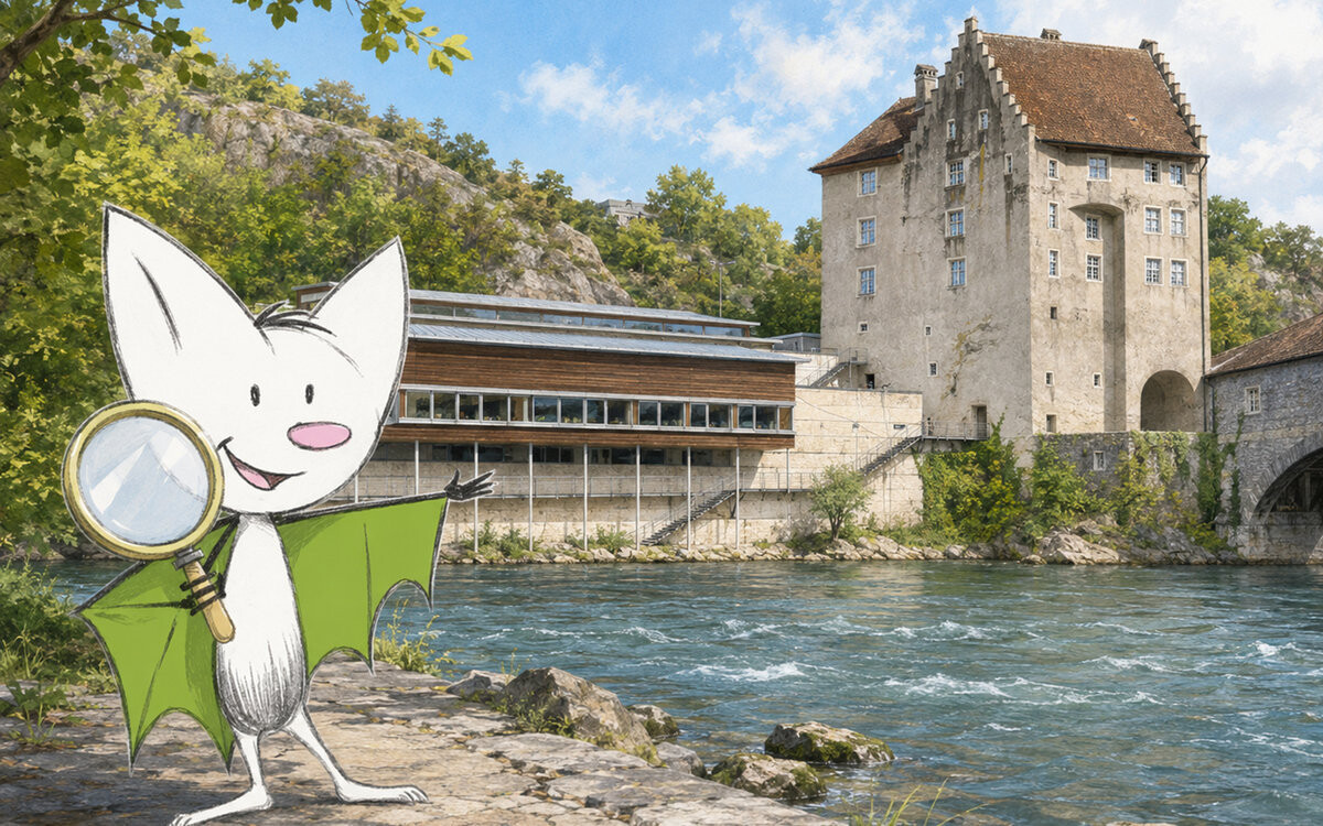 Für Kinder: Auf Mission durchs Museum
