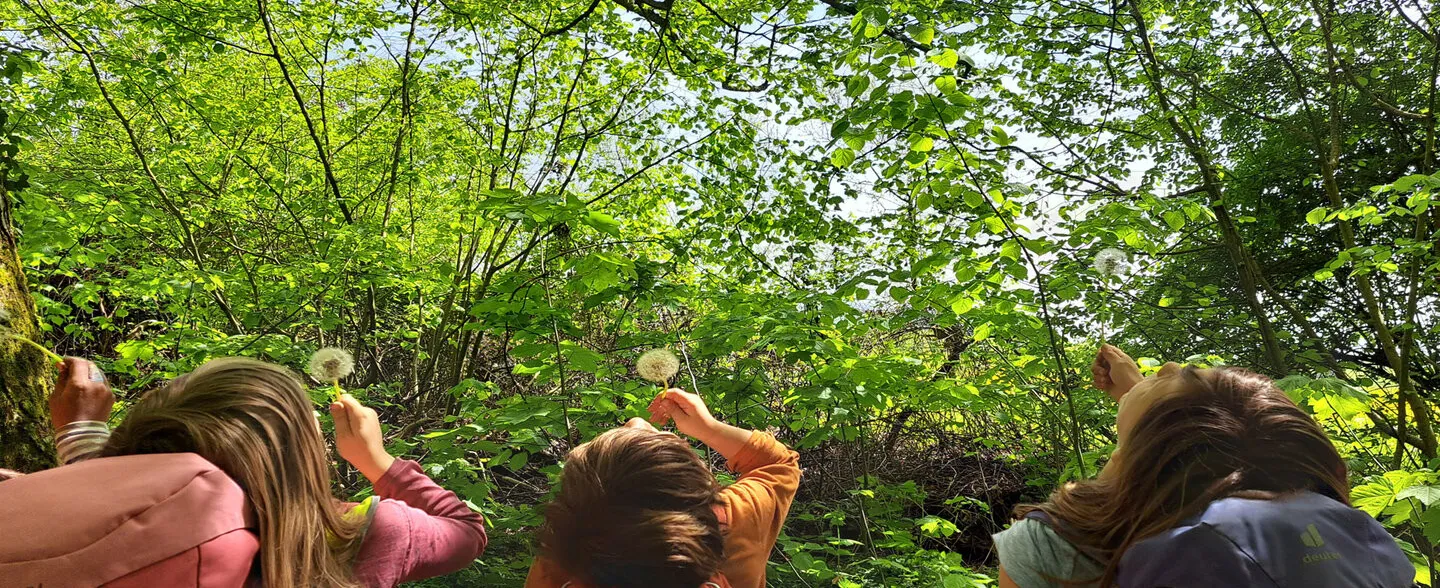 Kräuterhexe und Wurzelkobold