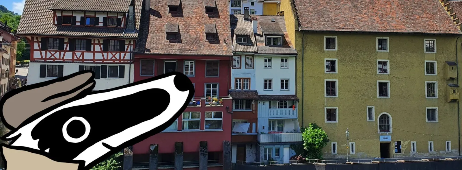 Detektivtrail Baden mit Detektiv Dachs