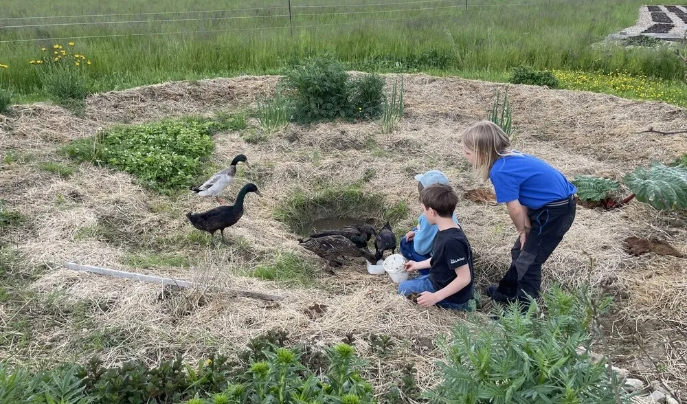 Bauernhof erleben / DO-Nachmittagsgruppe