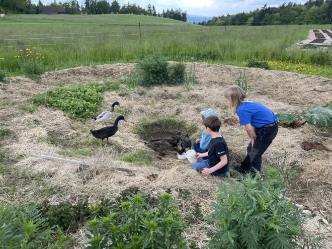 Bauernhof erleben / DO-Nachmittagsgruppe