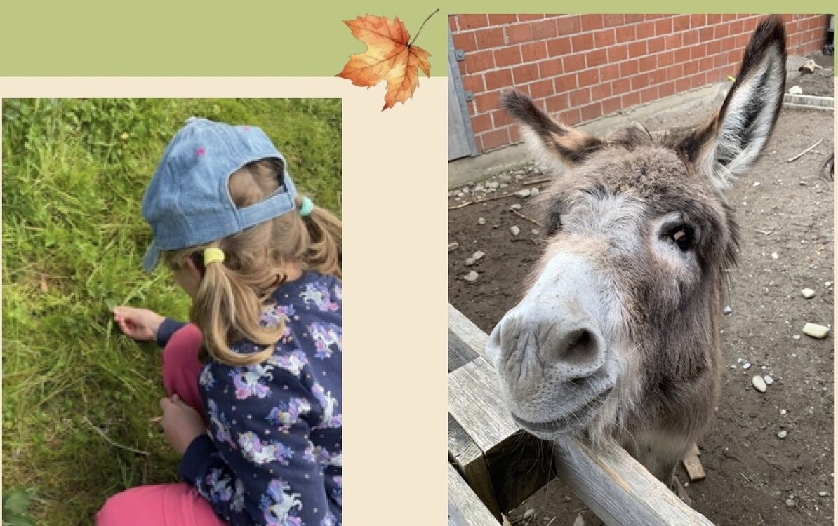 Herbst Kinderferienwoche, Montag, 28.9.